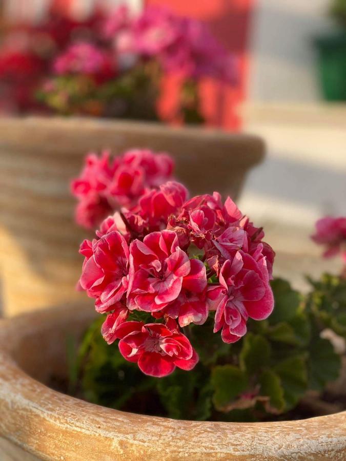 Karavos Hotel 포르테리아 외부 사진